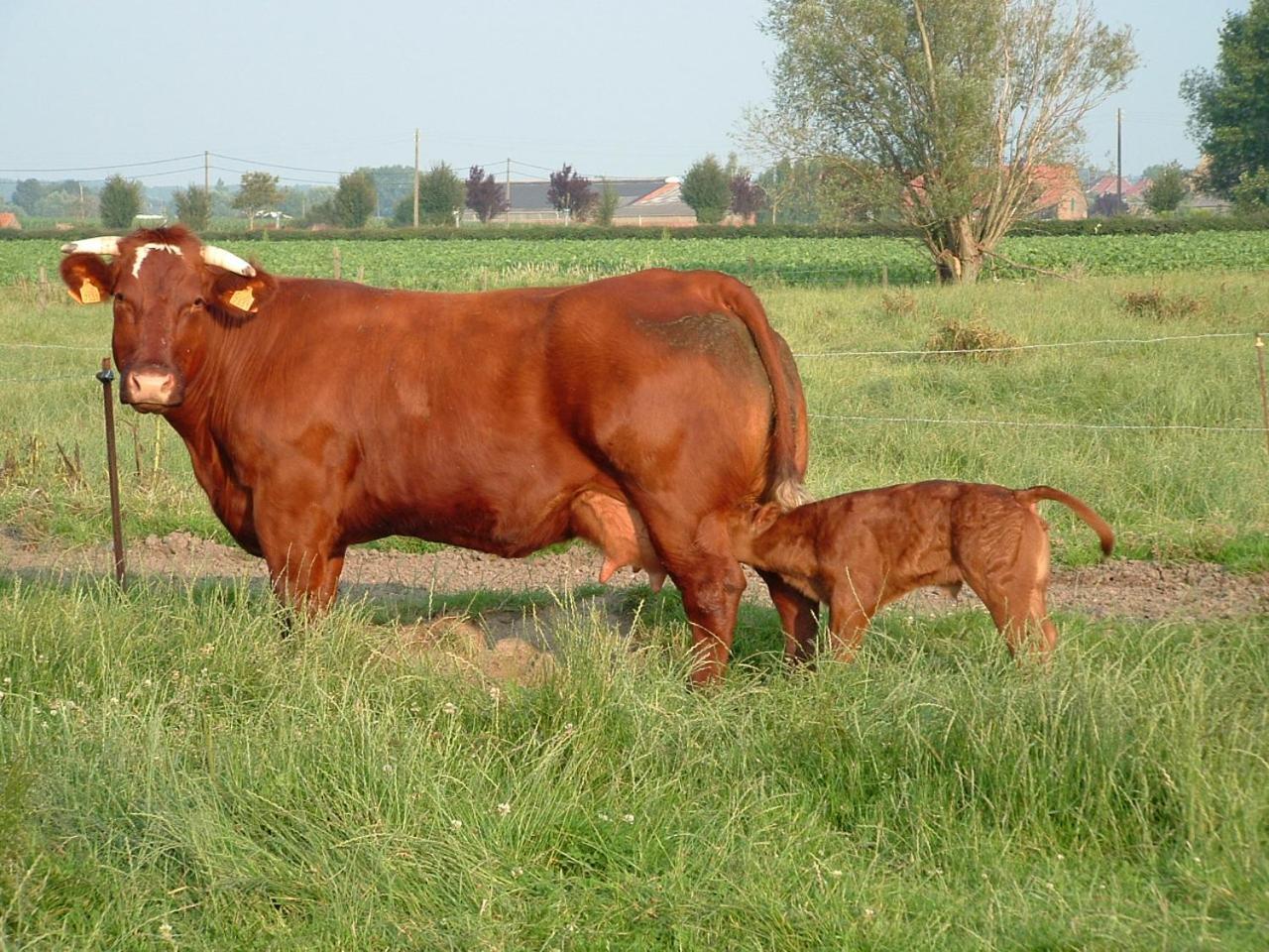 Hof Hullenhove Farma *